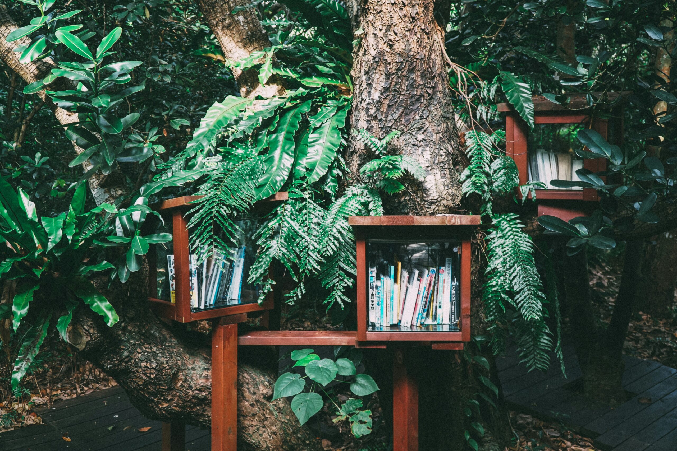 Books In Nature