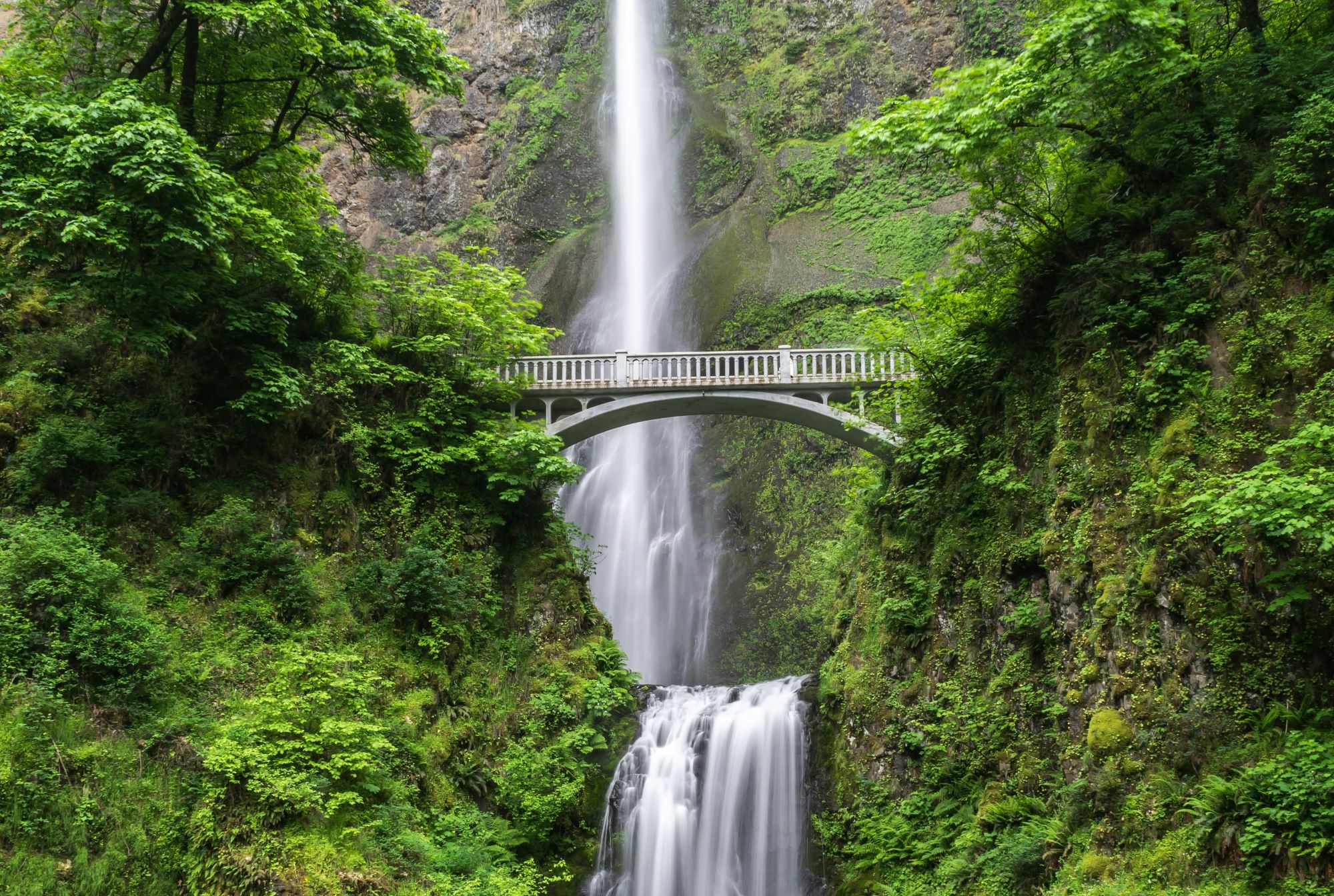 Nature Cropped